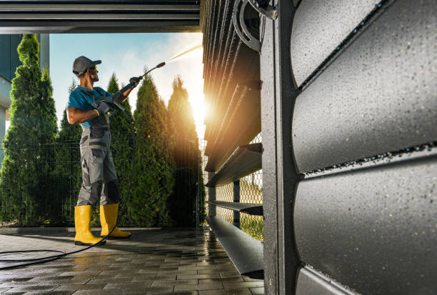 Best Gutter Cleaning and Brightening in Tequesta, FL
